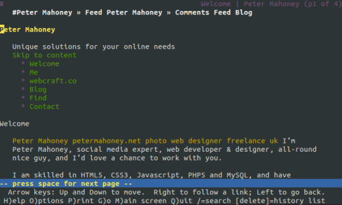 What does your website look like to search engines? Wordpress SEO Expert