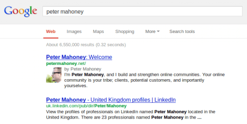 Guess who's number 1 baby yeah!!11one! Wordpress SEO Expert
