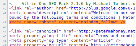 What is noindex, and when to use it Wordpress SEO Expert