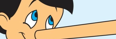 Lies Wordpress SEO Expert