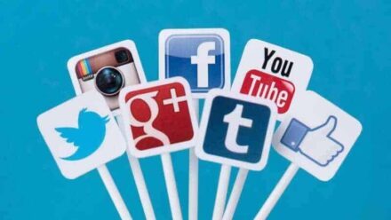 Fill in your social media profiles Wordpress SEO Expert