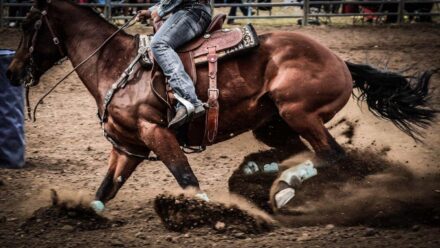 There are still plenty of SEO cowboys out there Wordpress SEO Expert