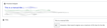 Is there the option for meta titles to be adjusted for some pages? Wordpress SEO Expert