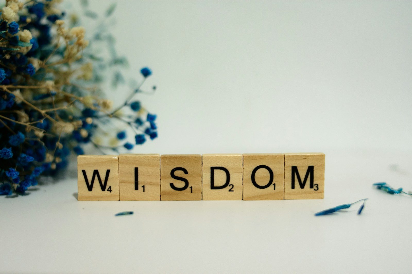 The Limitations of Automated SEO Scanning Tools: Embracing the Wisdom of Experience Wordpress SEO Expert